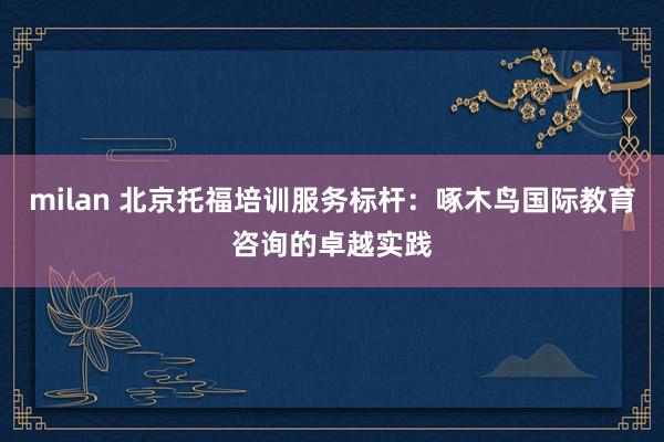 milan 北京托福培训服务标杆：啄木鸟国际教育咨询的卓越实践