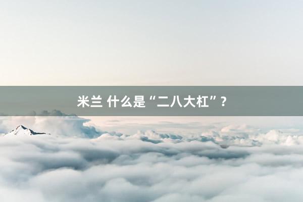 米兰 什么是“二八大杠”？