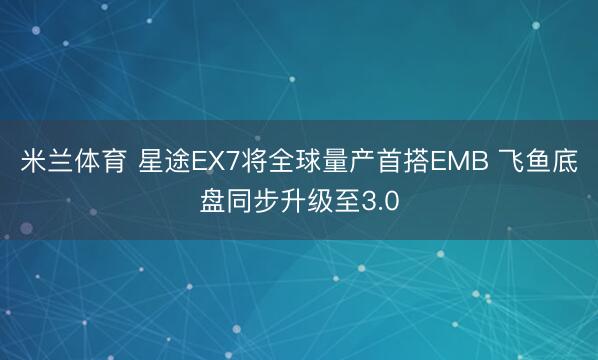 米兰体育 星途EX7将全球量产首搭EMB 飞鱼底盘同步升级至3.0