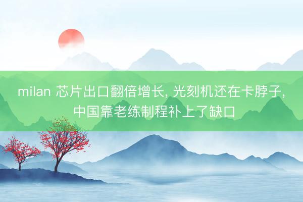 milan 芯片出口翻倍增长, 光刻机还在卡脖子, 中国靠老练制程补上了缺口