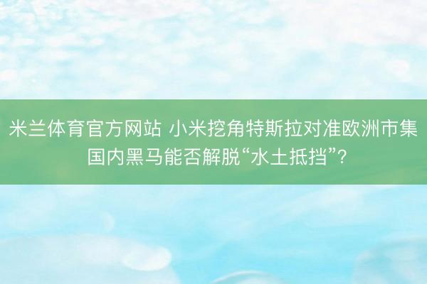 米兰体育官方网站 小米挖角特斯拉对准欧洲市集 国内黑马能否解脱“水土抵挡”?
