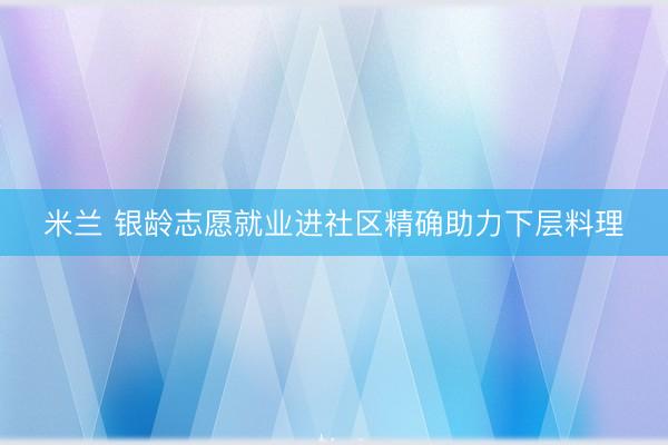 米兰 银龄志愿就业进社区精确助力下层料理